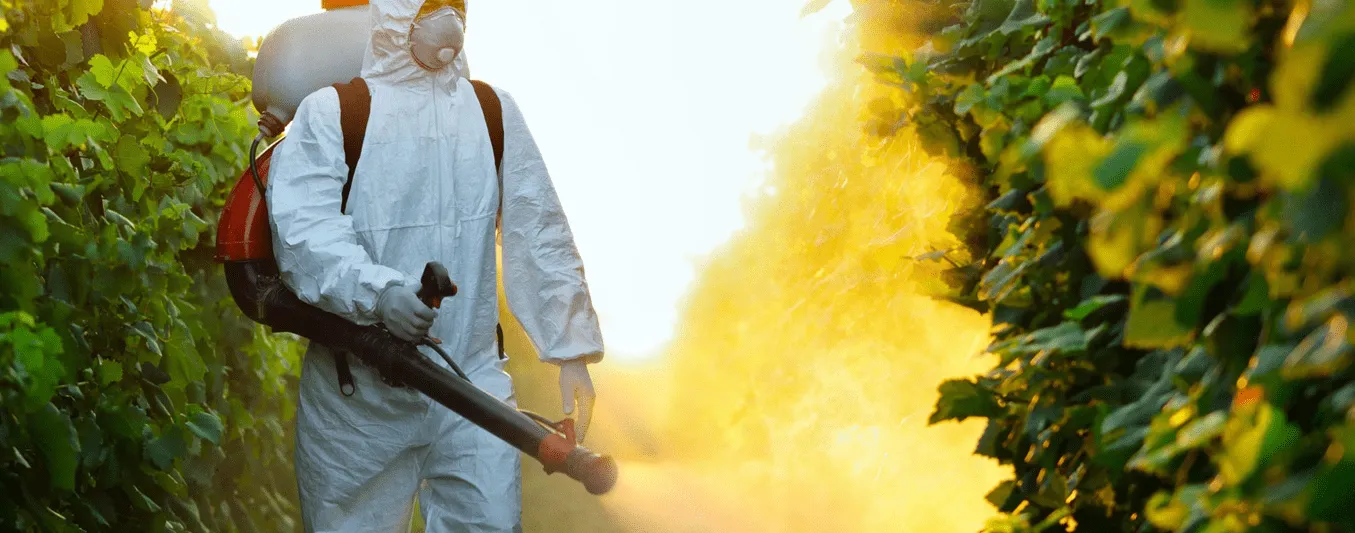 Homeowner Case Study: Carpenter Ant Eradication