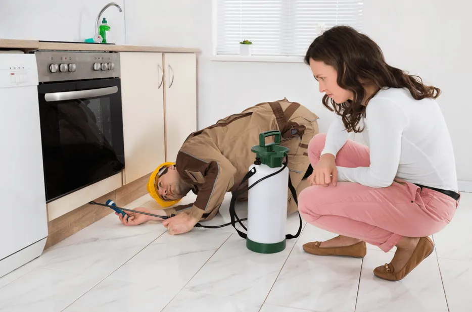 Commercial Pest Control