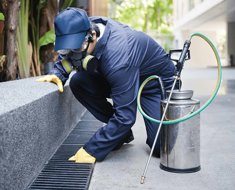 Attic Rodent Exclusion & Insulation Restoration